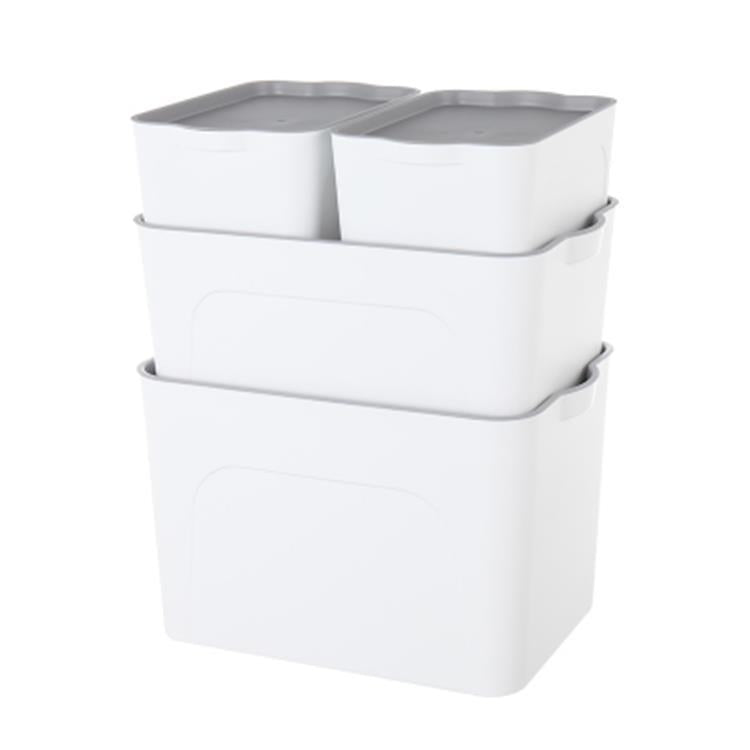 Plastic Moisture-Proof Storage Box (Set of 4) – SabiPal